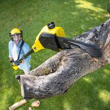 Best Arborist Consultation Services  in Osceola, WI